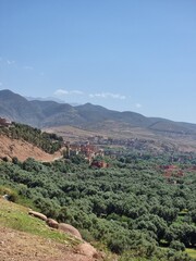 Obraz premium view of the mountains