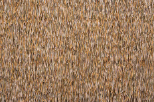 Close up dry straw texture wall background.