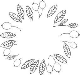 Cranberries frame - berries and leaves, sketch illustration black and white silhouette