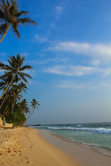 Tropical beach paradise with palm trees, Dalawella, Unawatuna, Sri Lanka