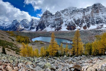 Turquoise lake in Rocky mountains with yellow larch trees. Valley of ten peaks near Lake Moraine. Canadian Rockies. Banff. Alberta. Canada