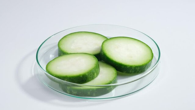 A glass petri dish containing several slices of winter melon rotating on a white background. Research and development cosmetics concept