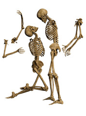 3d render skeleton lovers skulls in pieces, embrace in death