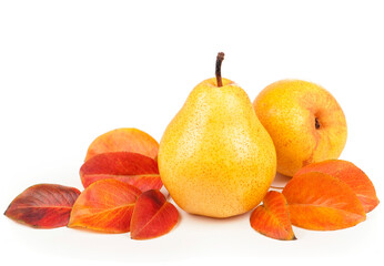 Fresh ripe fruits of pears with leaves isolated on white background