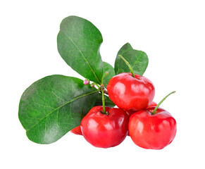 Barbados cherry on transparent png