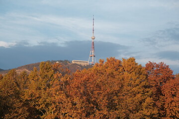Tbilisi in November. Trees with red and yellow leaves on the streets of Tbilisi. Autumn sky, autumn colors, autumn mood