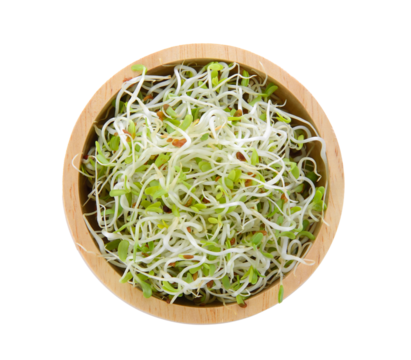 Alfalfa Sprout in a bowl on transparent png