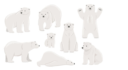White polar bear stands on paws, lying. Baby White polar bear set. Flat vector illustration