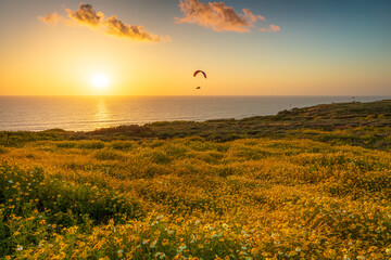 Sunset at the black beach San Diego California