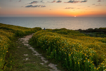 Sunset at the black beach San Diego California