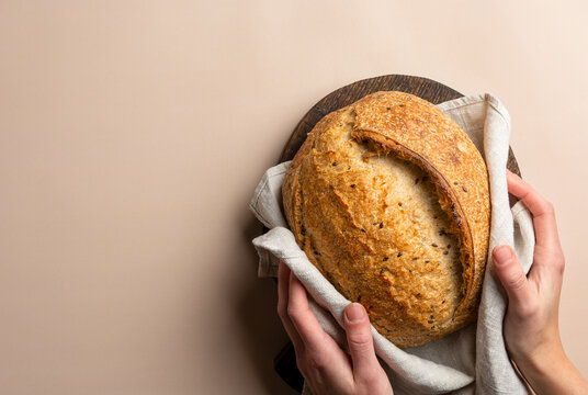 Fresh artisanal sourdough bread in the baker's hands. A woman holds a loaf of organic rustic bread in a linen towel on a wooden board. Banner on a beige background, copy space. Top view.