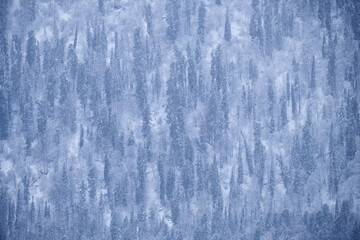 Winter taiga forest under heavy snow on the bank of Teletskoe lake. Iogach, Altai