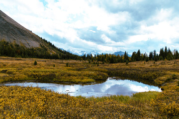 Naklejka premium vue d'une étendue d'eau calme qui reflète le ciel en montagnes avec l'herbe jaune en automne
