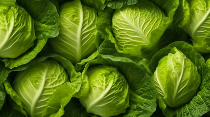 Fototapeta premium Ripe Cabbage mockup and copy space with a gradient background, generative AI