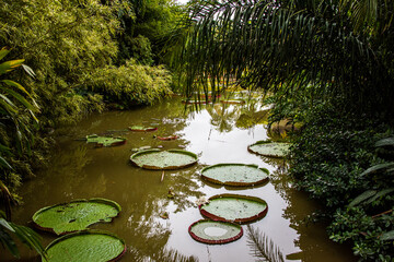 Naturaleza de Bolivia 