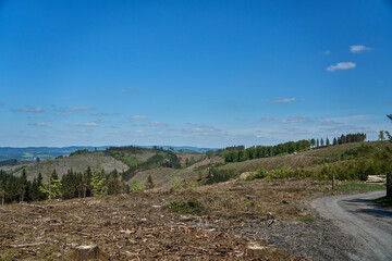 heavy deforestation after a long drought.