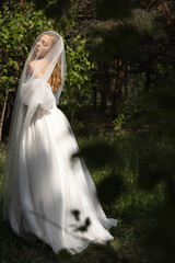 Beautiful caucasian blonde girl in a wedding dress under a veil in the sunlight in the forest, wedding image of the brides