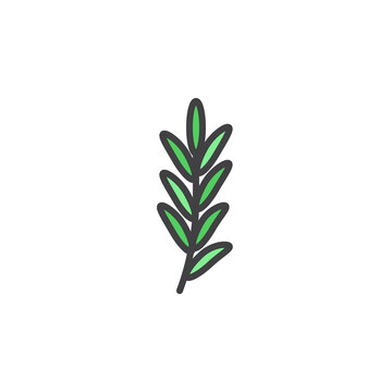 Rosemary herb filled outline icon