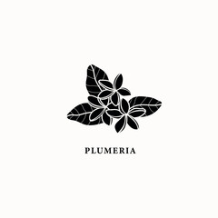 Flat vector plumeria flowers illustration - obrazy, fototapety, plakaty
