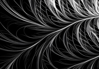 モノクロ　アート　背景　葉