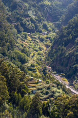 Madeira Island terraced valley