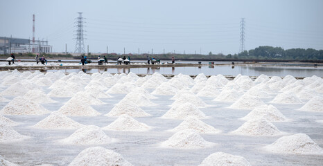 Sea salt farm in Thailand. Brine salt. Raw material of salt industrial. Sodium Chloride....