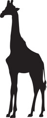 giraffe vector silhouette illustration