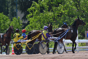 course de chevaux en trot attel&eacute;