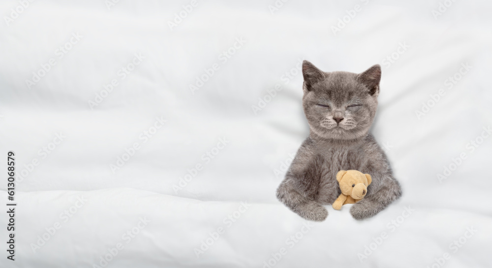 Aufkleber cute tiny kitten sleeps with toy bear under warm white blanket on a bed at home. top down view. empt
