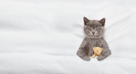 Cute tiny kitten sleeps with toy bear under warm white blanket on a bed at home. Top down view. Empty space for text