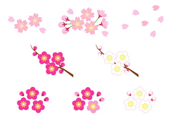 Obraz premium 桜と梅のかわいいイラストセット