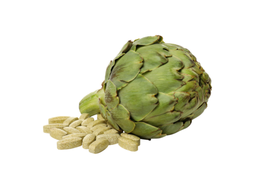 PNG, Artichoke for health and treatment, isolated on white background