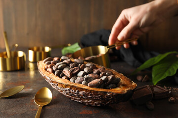 Ingredient for making chocolate - cocoa, cocoa beans