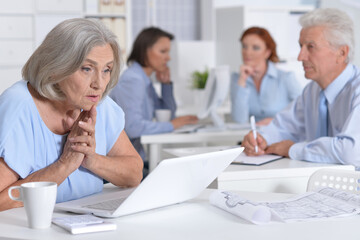 senior business woman working in light office