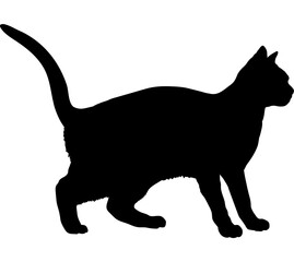 Dragon Li cat silhouette cat breeds vector 