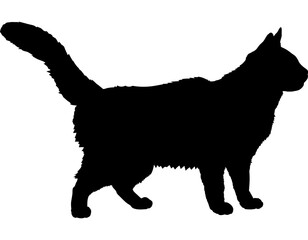 Nebelung cat silhouette cat breeds vector 