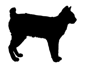 Mekong Bobtail cat silhouette cat breeds vector 
