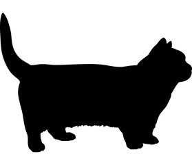 cat silhouette cat breeds vector 