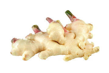 ginger on transparent png