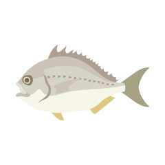 へダイ。フラットなベクターイラスト。
Goldlined seabream. Flat designed vector illustration.