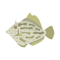 カワハギ。フラットなベクターイラスト。
Thread-sail filefish. Flat designed vector illustration.