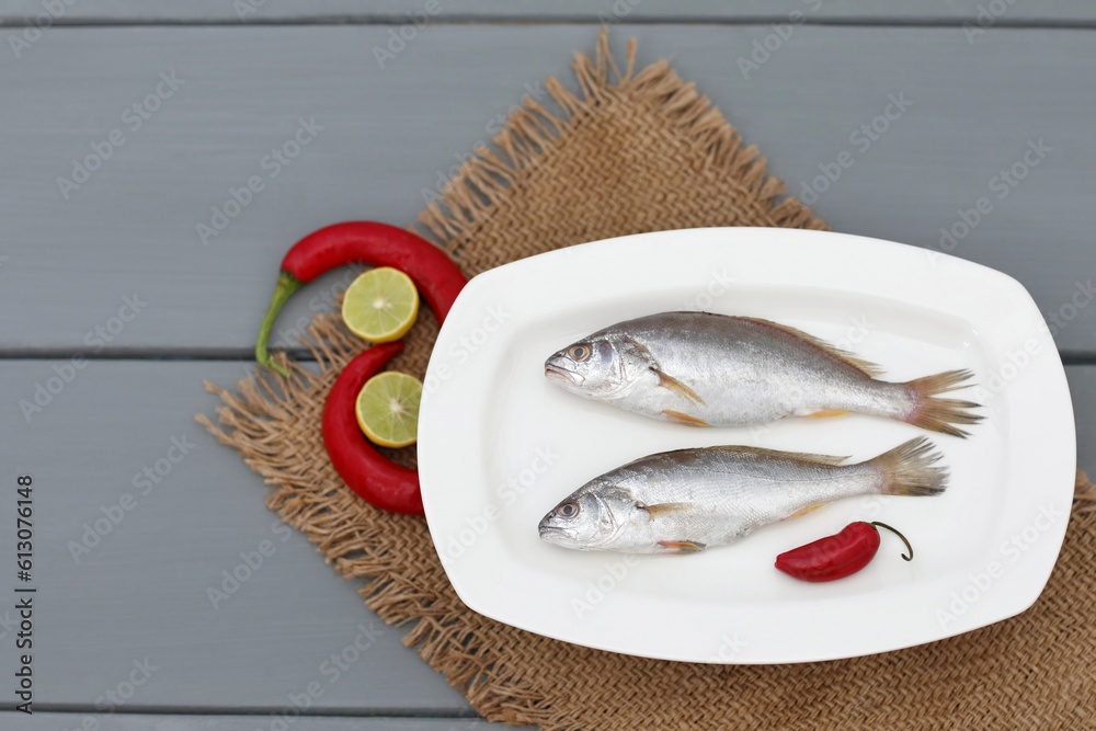 Wall mural Fresh croaker fish isolated on gray background
