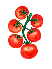 Red tomatoes on a green branch with leaves isolated on a white background. Watercolor blur. Cocktail tomato.