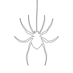 Continuous line drawing of spider on net. Vector illustration as line art outline wallpaper for minimal poster, template, banner