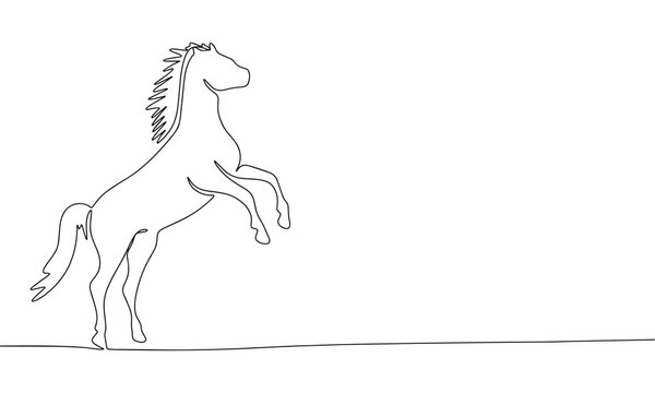 Continuous line drawing of horse or rearing horse. Vector illustration as line art outline wallpaper for minimal poster, template, banner