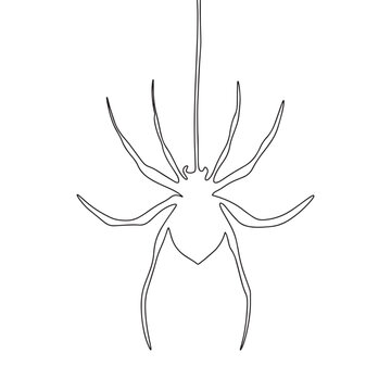 Continuous line drawing of spider on net. Vector illustration as line art outline wallpaper for minimal poster, template, banner