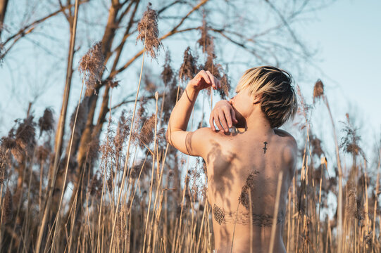 dancer with bare skin in shadow and golden light in natural tall reeds