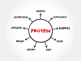 Protein are large biomolecule and macromolecule that comprise one or more long chains of amino acid residues, mind map concept background