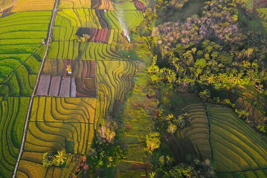 aerial view of the pattern of rice terraces on Mount Sumatra