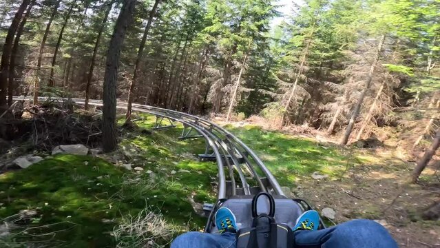 Revelstoke Roller Coaster in mountains with forest. male rides on the Revelstoke, summer attraction in mountain ride. Entertainment and recreation concept